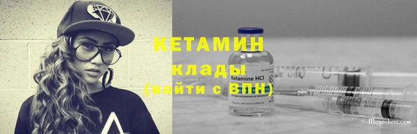 прущие грибы Инта