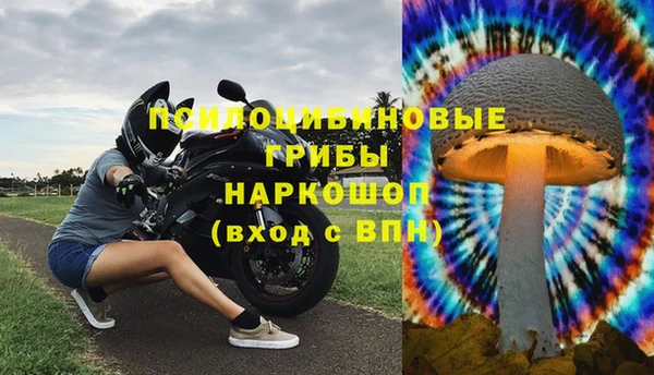 прущие крисы Беломорск